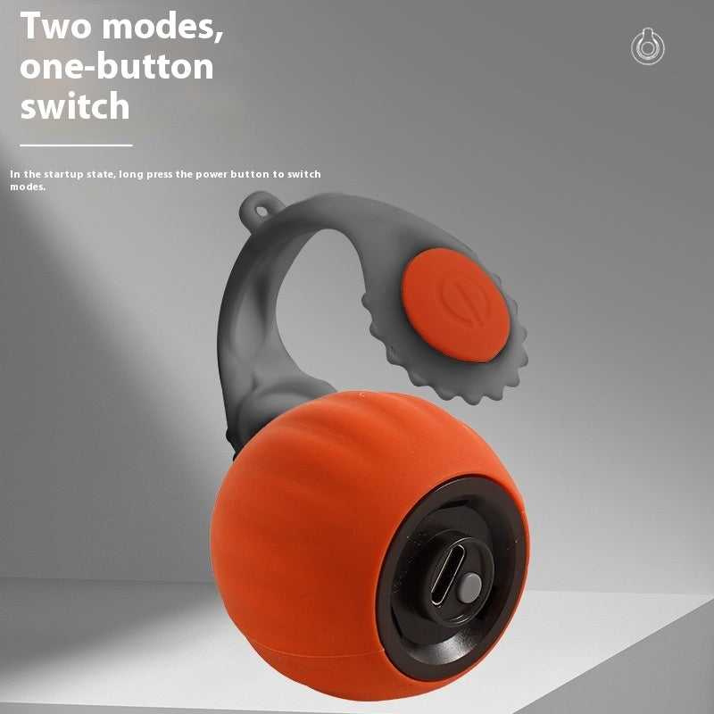 Meochase™ Interactive Cat Toy Ball